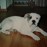 Baby