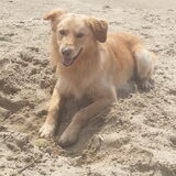 Foto van Hans