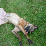 't Is gewoon een soort breakdance...