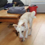 Foto van Eline, Gruul en Thalia