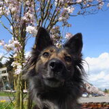 Foto van Sara