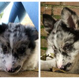 Foto van Angelique; Bruno, Charlie & Fenna