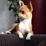 Onze stoere man