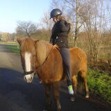 Foto van Dutchshepherdteam
