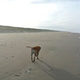 op het strand dec.2014