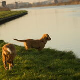 Foto van Luan en Lenne