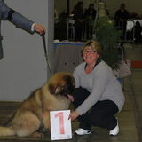 Nikita Du Plateau Bavarois kreeg de 1 ste plaats op de Dog-Show in…