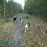 een fijne wandeling met de zusjes