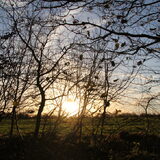 Foto van Inge & Danger