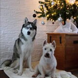 Foto van Tiffani & Pepper