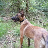 Foto van Amy