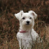 Foto van Sophie