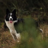 Foto van Sophie