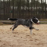 Foto van Sophie