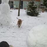 Here I come!