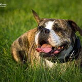 Onze dunya