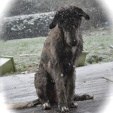 Foto van Jeanine :)