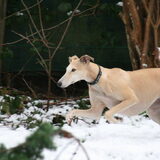 Foto van Ina, Misty en Aysa