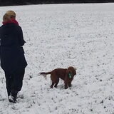 Foto van Rachelle & Hummie