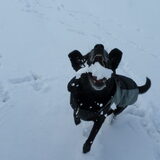 Sneeuwballen happen :)