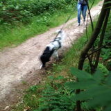 Foto van Michelle & Bentley