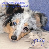 Jinty een half jaar oud