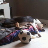 Foto van Liza, (Chiva) Lexi & Elza