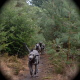 Foto van Jeanine :)