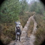 Foto van Jeanine :)