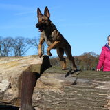 Mila in actie :)