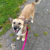 Een van de eerste wandelingen. (: