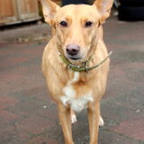 Bimba (van vriendin)