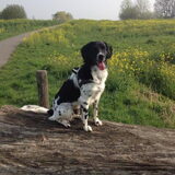 Foto van Michelle & Bentley
