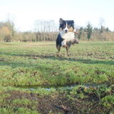 lekker springen