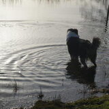pablo in het water