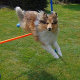 Foto van Just The Max