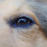 Foto van Just The Max