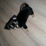 Ben ik niet lief?