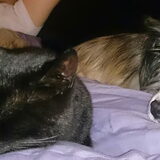 Armani met bailey