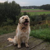 Foto van Anita