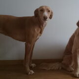 Foto van Anita