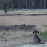 Foto van Rob