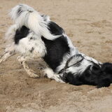 Foto van Michelle & Bentley