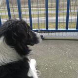 Foto van Eline