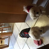 Loes en Polly staan klaar om aan de wandeling te beginnen!