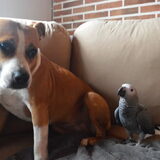 Foto van linneke