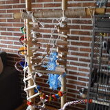Foto van linneke