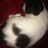 Foto van Fay en petite