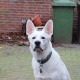 LIEFFFF!!