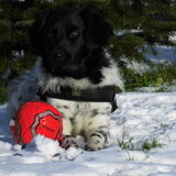 Foto van Sandra, Ozzie (overleden) Iris en Zoë